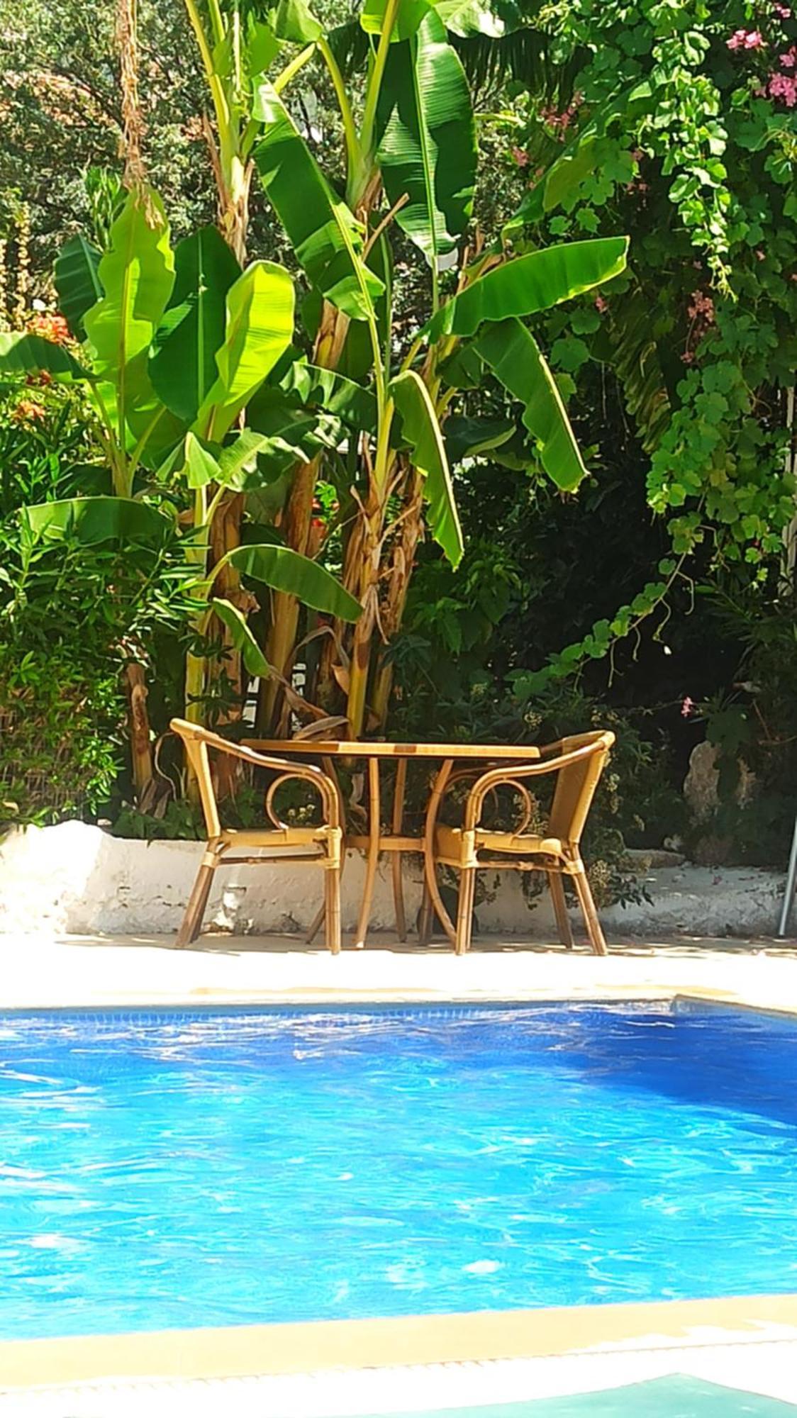 Cc'S Butik Hotel Oludeniz Ngoại thất bức ảnh